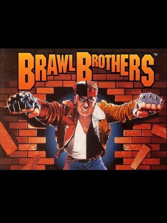 Cover of Brawl Brothers